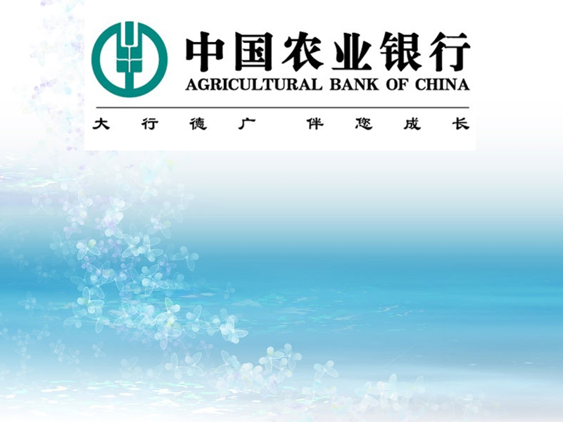中国农业银行概述ppt